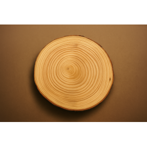 BASE DE MADEIRA 10CM