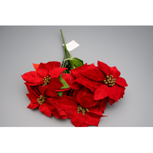 BICO DE PAPAGAIO NATALINO 5 FLORES