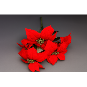 BICO DE PAPAGAIO NATALINO 5 FLORES