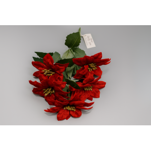 BICO DE PAPAGAIO NATALINO 5 FLORES