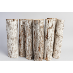 BASE DE ARVORE DE NATAL NEVADA