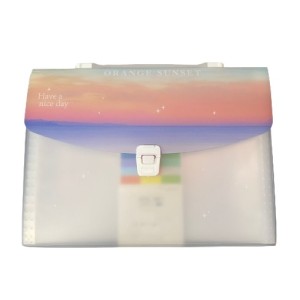 PASTA MALETA DE DOCUMENTO