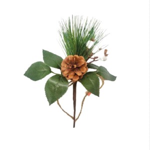 BICO DE PAPAGAIO FLOR NATALINA