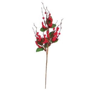 BICO DE PAPAGAIO FLOR NATALINA