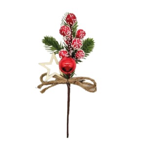 BICO DE PAPAGAIO FLOR NATALINA