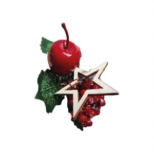 BICO DE PAPAGAIO FLOR NATALINA