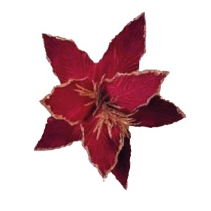 BICO DE PAPAGAIO FLOR NATALINA 28CM